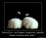Аватар для MisKis