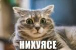 Аватар для __A_L_E_X__